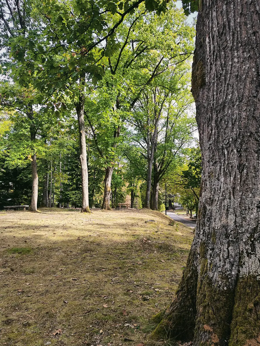 Parc