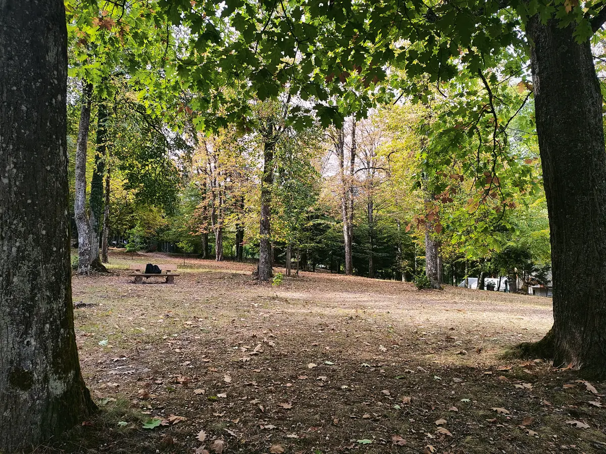 Parc